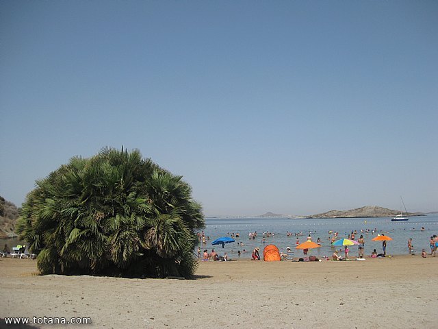 Comienzan los viajes a la Playa de la Cala del Pino (La Manga) organizados por el Centro de Personas Mayores