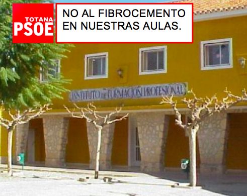 Los concejales socialistas promueven una moción conjunta para que se sustituya el fibrocemento del IES Prado Mayor este verano