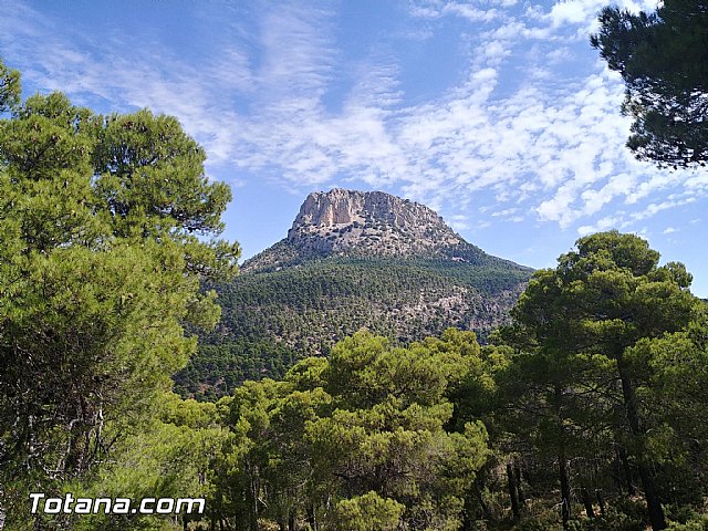 Debatirán la posible modificación de los límites del Parque Regional de Sierra Espuña